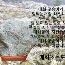 매화초등학교 이미지