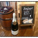 GONTRAN CHERRIER 이미지