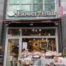 플레베르플라워 이미지