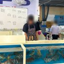 장목수산 | [거제/장목면] 거제 회센터, 해산물이 가득한 "거제 장목 수산센터 장목수산 본점" 내돈내산 솔직리뷰