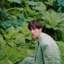 김성규 카카오 검색결과