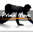 Force of Nature 이미지