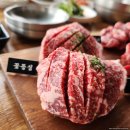 한우한마리 이미지