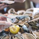 제철태권도 이미지