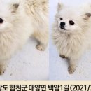 백암1길 네이버블로그