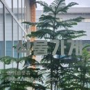 띵커바웃츄 | [동탄 꽃집] 띵커바웃츄 - 동탄 호수공원 근처 꽃집 내돈내산 방문후기 🍀☘️
