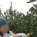 노을마당 이미지