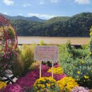 단양보건소 건너편 이미지