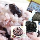 참새골농장 이미지