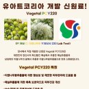 이팝미용 이미지