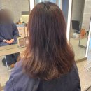 올림픽상가뒤 | 잠실 파크포레온 미용실 차홍룸 올림픽공원점 이준희 디자이너 솔직후기