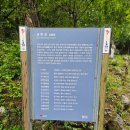 무릉계곡 5호 이미지