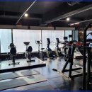 더 핏포유 이미지