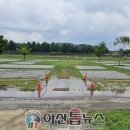 아산곡교천야영장 이미지