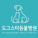 가까운동물병원 이미지