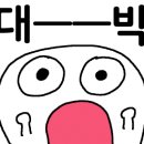 와일드복싱짐 안양관 이미지