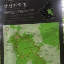 2022년 8월13일(토) 1129차 서울 안산자락길 산행기 이미지
