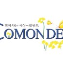 누벨에스테틱시스템 이미지