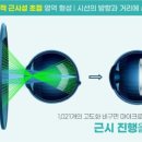 다비치안경 영도점