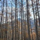 치악산둘레길 10코스 아흔아홉골길 | 치악산둘레길 10코스(아흔아홉골길)+원주천 걷기