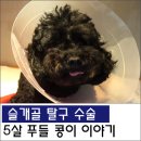 원당동물병원 - 고양시 덕양구 마상로126번길 97 | 원당동물병원