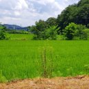 형곡고을 이미지