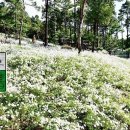 율곡수목원(2) 이미지