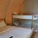 스테이그린 이미지