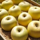 한끼상자 이미지