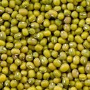 녹두의원 이미지