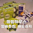 웰빙하우스 | 웰빙하우스 양배추즙과 배도라지 스틱 동시 체험 후기