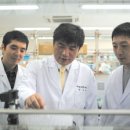 팜울림 티스토리