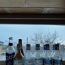 구몰니인사리 이미지