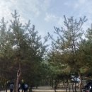 산우물 | 깨끗하고 힐링하기 좋은 산우물쉼터 오토캠핑장/카라반 후기!