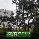 자산동266 이미지