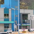 춘양메밀막국수