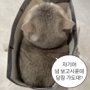 상무바다 이미지