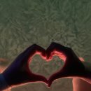 호텔마리나베이 서울 아라 이미지