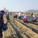 상장1리 이미지