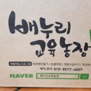 단감빵체험농장