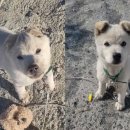 견생공감 이미지