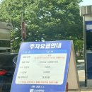 장미 | 조선대학교 장미축제 장미원 실시간 개화상황 30도 날씨 주말에 다녀온 솔직후기