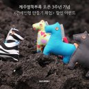 제주별책부록 3주년 &#39;간세인형&#39; 만들기 체험 50%할인 - 8월 월,금,토요일 (하루 두 번 11시~13시, 13시~15시) 이미지