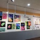 경북대학교자연사박물관 이미지