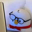 원효동물병원 | #2 스마일프로 일주일 후기