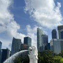 P-6221 | 싱가포르여행 준비과정(여행코스, 코로나 관련, 비행기표, 숙소 후기)