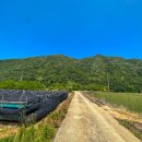 쟁여울황토 이미지