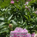 그어떤