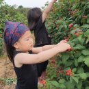 농업회사법인 유한회사 우리농장 이미지