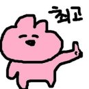 신태루 이미지